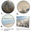Seaside Seashell Treasures VI - Imprimé-88549124-88549128