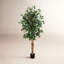 Arbre ficus artificiel en pot-25768685