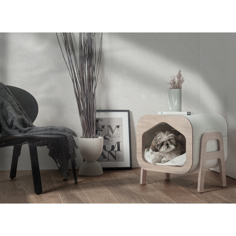 Dog House