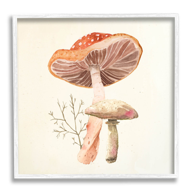 «Forest Botanical Woodland Plants Giclee Art» par Lucca Sheppard, H 12 po x l 12 po x P 1,5 po