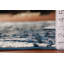 Tapis oriental transitionnel 4 x 6