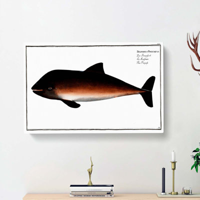 Porpoise by M.E. Bloch - Wrapped Canvas Print