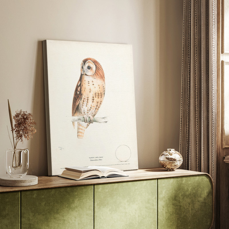 Tawny Owl - galerie sur mesure, H 18 po x l 12 po