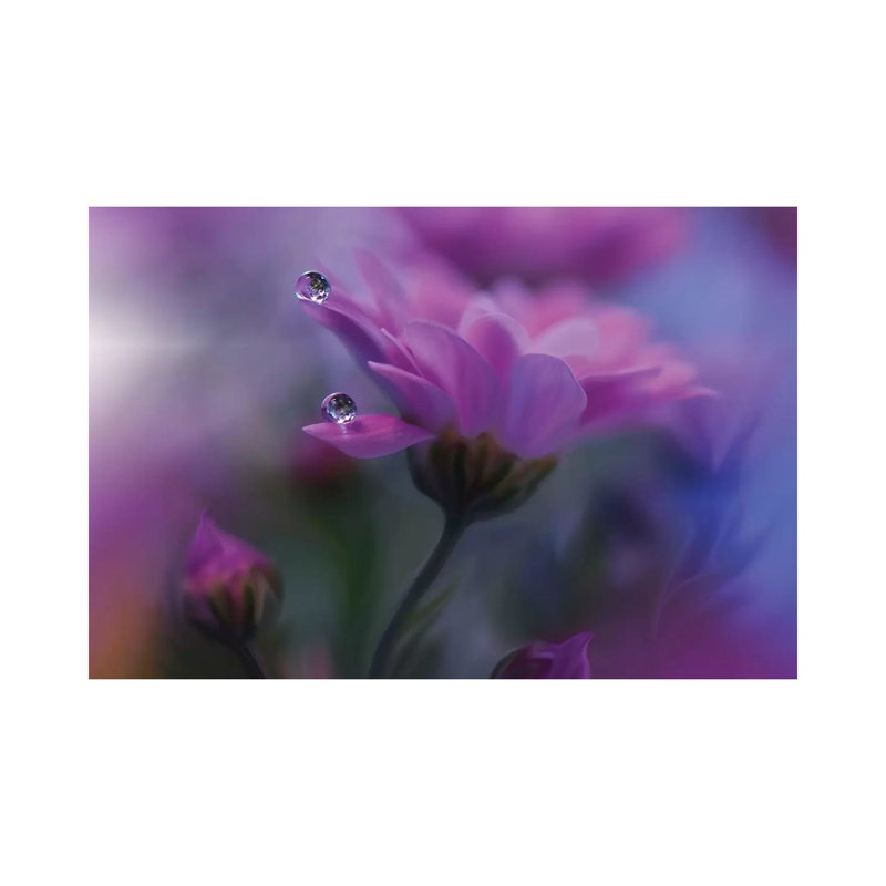 All of Me 1 Piece Wrapped Canvas Wall Art, 45.72cm H x 66.04cm W x 1.91cm D