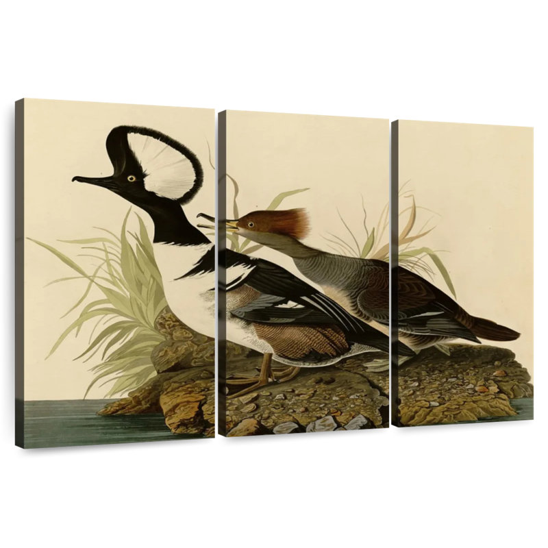 Brampt Hooded Merganser, 48" H x 74" W