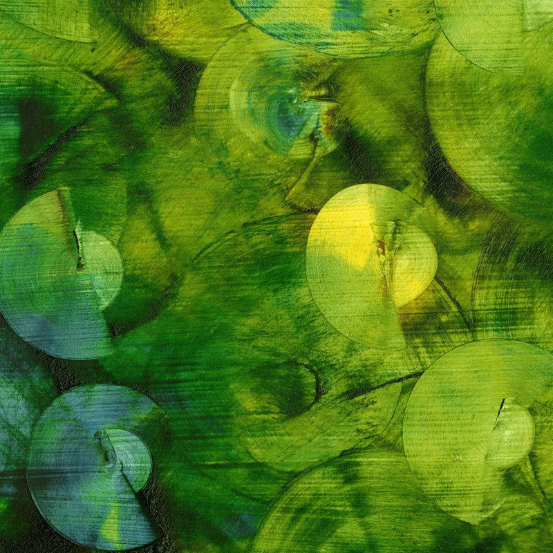 Nautilus In Green II by Sharon Gordon - Wrapped Canvas Print, 122cm H x 122cm W