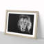 Portrait of a Lion - Framed Print-56758422-56758423