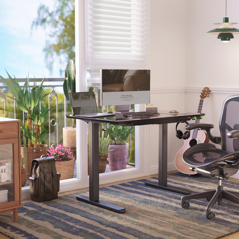 40-inch Electric Standing Desk with a Multi-Functional drawer, Wide Height Adjustment with 4 Memory Preset - Black, Black