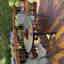 Photos des clients 1 de 1