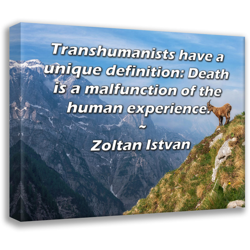 Toile tendue de la galerie ArtsyQuotes par Zoltan istvan: «Les transhumanistes ont une définition unique: la mort est un mauvais fonctionnement de l'expérience humaine».