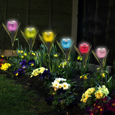 Alyvea Plastic Solar Powered Pathway Lights