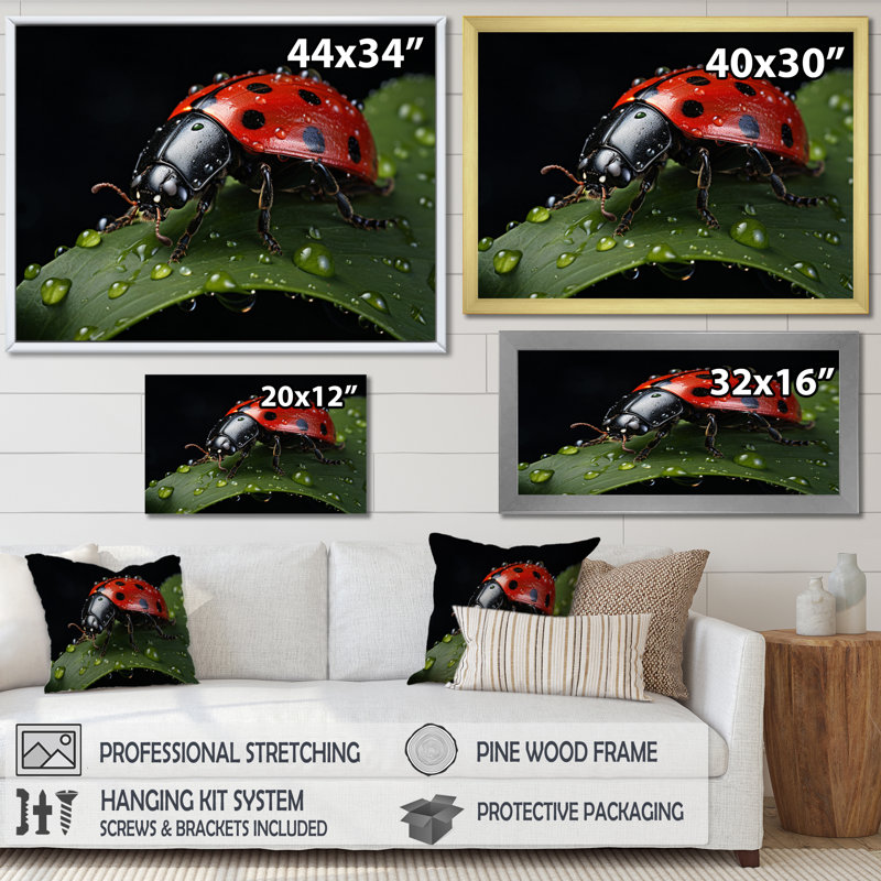 Red Ladybug Portrait I - Animals Wall Art Living Room, H 34 po x l 44 po x P 1,5 po, Cadre naturel flottant