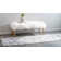 Walmoor Oriental Indoor Rug