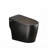 One Piece Smart Bidet Toilet in Black with Automatic Opening and Closing Seat, Warm Water Wash and Built In Dryer