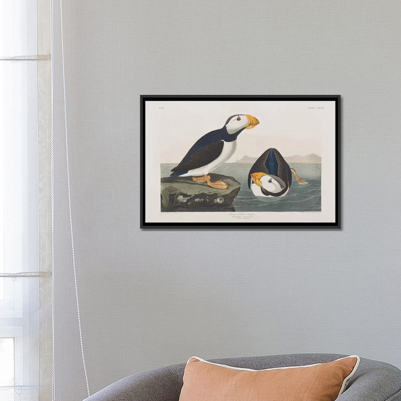 « large-billed puffin' », reproduction d’impression sur toile, H 18 po x l 26 po x P 1,5 po, Toile avec cadre noir