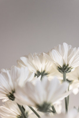 Wrapped Canvas Print, 121.92 cm H x 81.28 cm W
