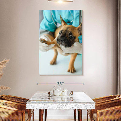 Brampt Pet Care