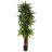 78'' Faux Dracaena Tree in Planter