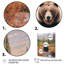 Grizzly Bear In Alaska Scenery II-1551084969-1551084975
