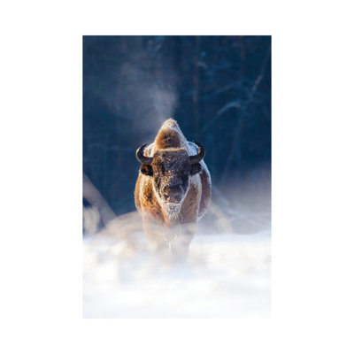 Frozen King by Mateusz Piesiak - Wrapped Canvas Print