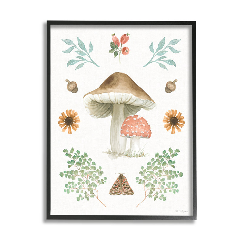 «Stupell Industries Moth & Mushroom», peinture sur toile par Beth Grove, H 30 po x l 24 po x P 1,5 po