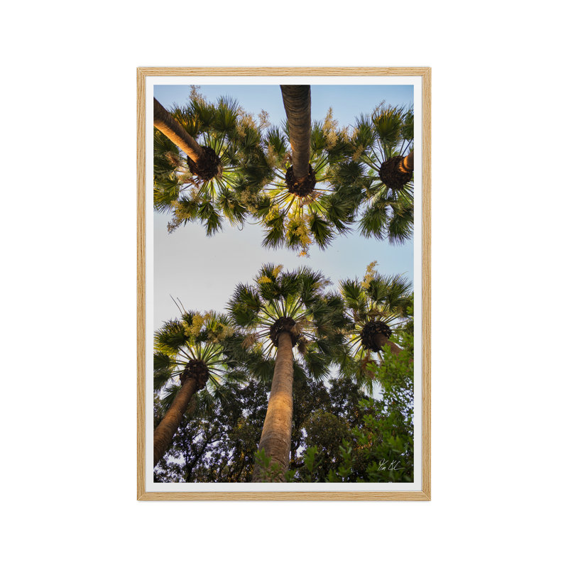 Athènes Palm II, H 30 po x l 20 po x P 1,5 po, Toile encadrée artisanale, Chêne