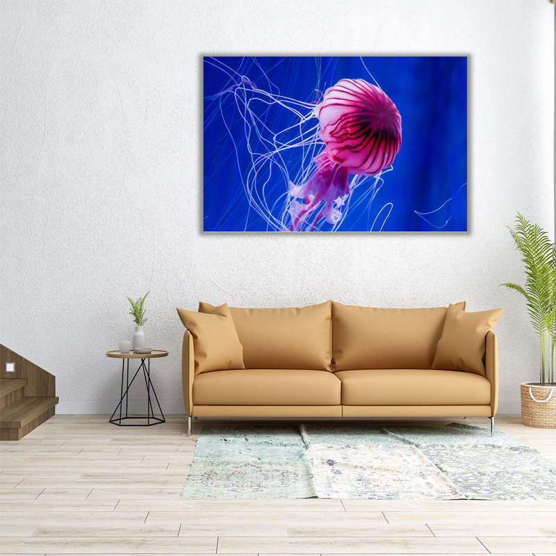 «Beautiful Jellyfish Close-up», reproduction d'art sur toile, H 24 po x l 36 po
