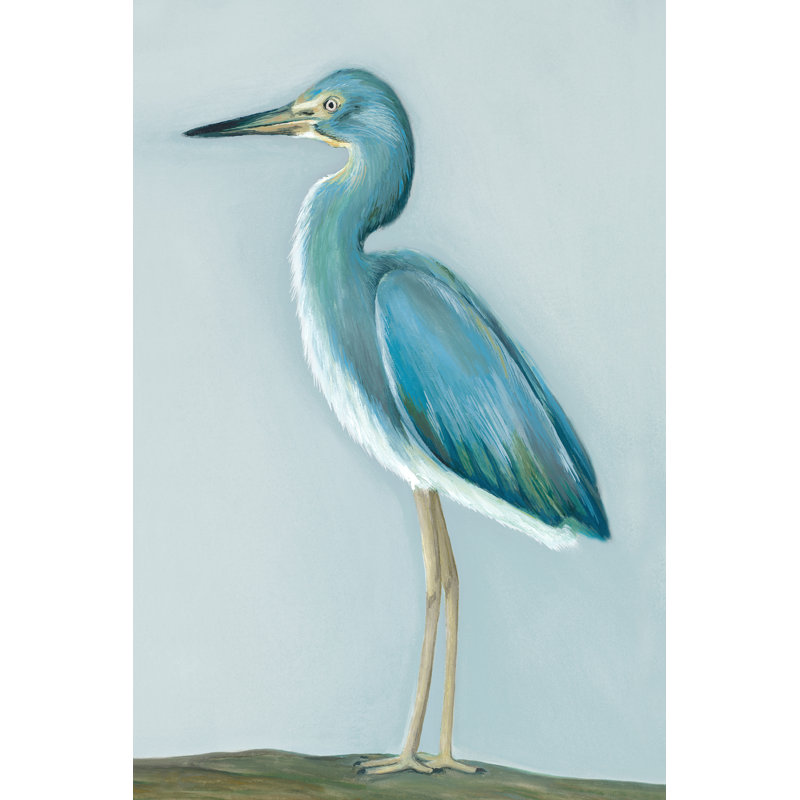 «Tricolor Heron On Canvas» par Courtney Lye, reproduction, H 30 po x l 20 po x P 1,25 po