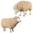 Merino Ewe Life Size Sheep Statue