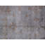 Oriental Area Rug in Gray