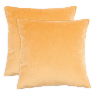 Velvet Pillows Pillow Cover