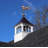 36'' H Metal Animals Weathervane-29330050