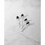 Portola Teaspoons, Set of 4