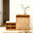 Shoe Cabinet With Bench And Cushion-1072699023