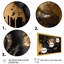«Black and Gold Rose II», reproduction sur toile encadrée rose-31300334-31300335-66703590