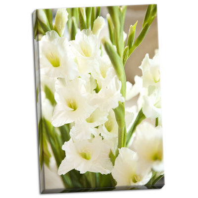 « gladiolus », reproduction de photo sur toile tendue