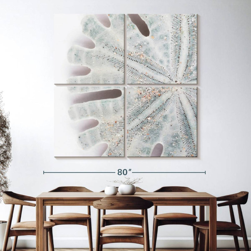 Brampt Florida Sand Dollar IV, 74'' H x 74'' W