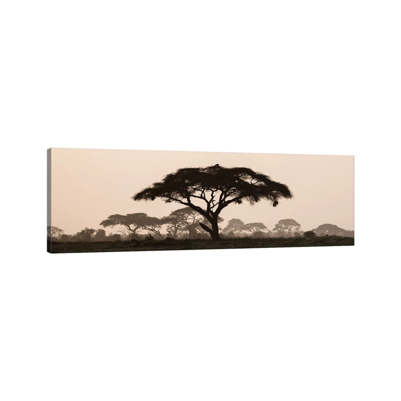 Africa, Kenya, Maasai Mara National Reserve. Silhouette Of Umbrella Thorn Acacia Tree At Sunset by Jaynes Gallery - Wrapped Canvas Panoramic Print
