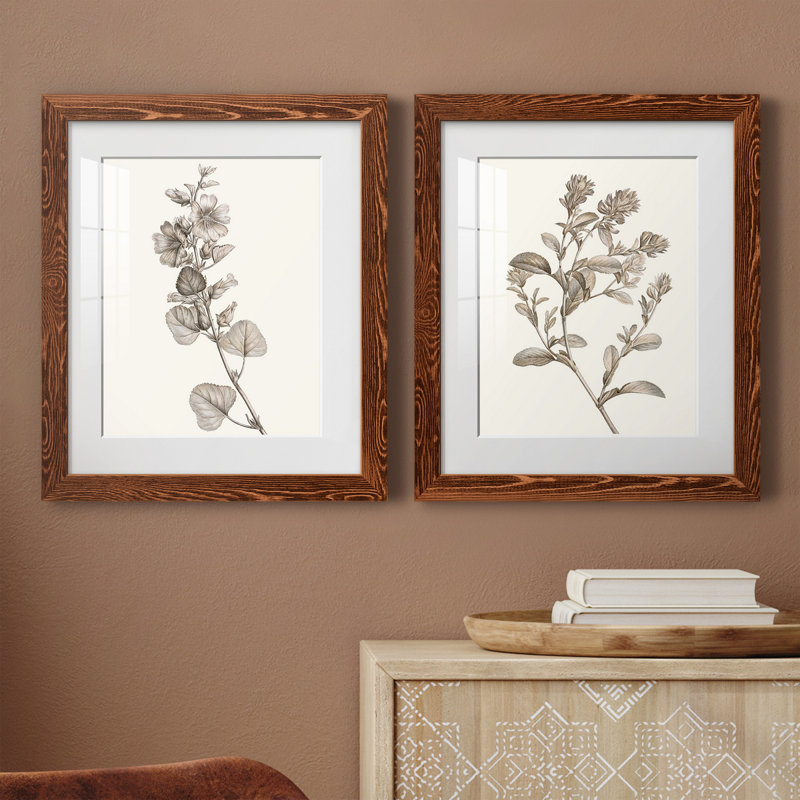 «Neutral Botanical Study», reproduction encadrée prête à être accrochée, H 20 po x l 17 po x P 1 po, Papier avec cadre érable