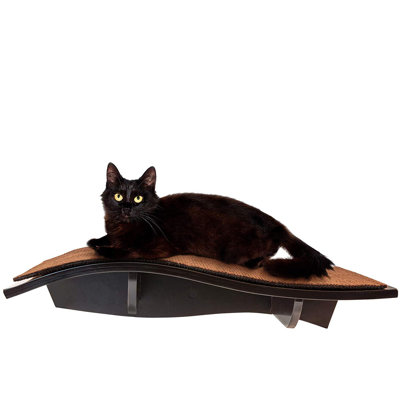 Perchoir pour chat 7" Brantley