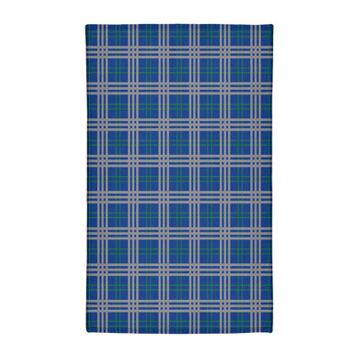 Plaid Indoor Rug