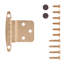 Surmatelas à fixation en surface variable, cadre frontal encastré de 3/8 po - Quincaillerie en laiton poli pour tiroirs et armoires (ensemble de 2)-9114238-124945305