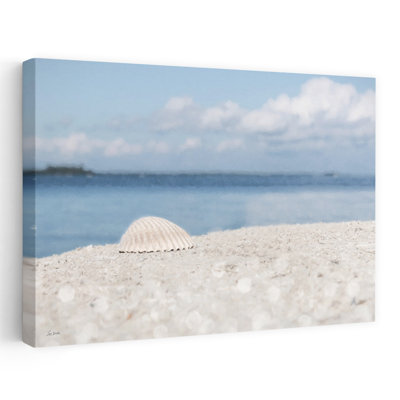 Sanibel Seashell - Coastal  Tropical Beach Seashell Coastal Art