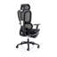 Lynnzee Office Chair with Headrest