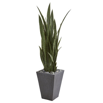 57'' Faux Snake Plant (Sansevieria) Succulent in Stone Planter