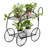 Plant Stand-102403896