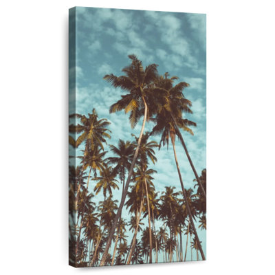 Cocotiers