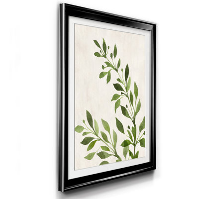 " Botanical Wash I " Painting Print