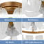 Ventilateur de plafond en cristal en forme de plume avec lumières encastrées 19,7 po Thonda