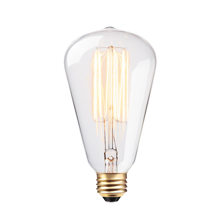 Edison 60 Watt E26/Medium (Standard) Dimmable 2200K Incandescent Bulb